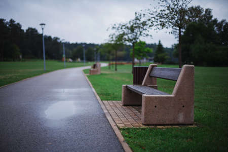 Lonely modern minimalist bench made of concrete and wood in a green park on a gray rainy summer dayの写真素材