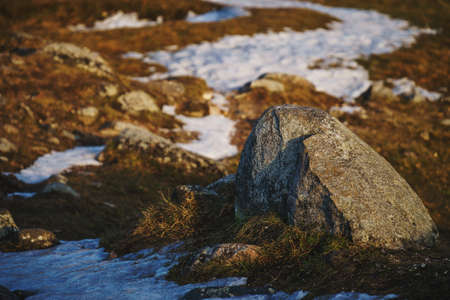 Stone surrounded by melting snow and dry grass on a sunny spring eveningの写真素材