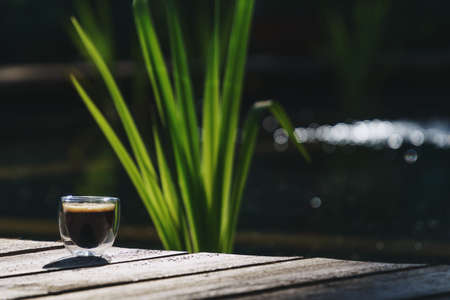 Small transparent double wall glass cup of fresh brewed coffee placed on a natural wooden surface in front of a plant filled pondの写真素材