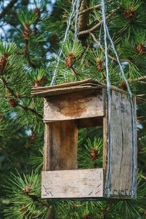 Empty handmade old wooden bird feeding trough hanging from a pine tree branch attached with faded synthetic light blue stringの写真素材