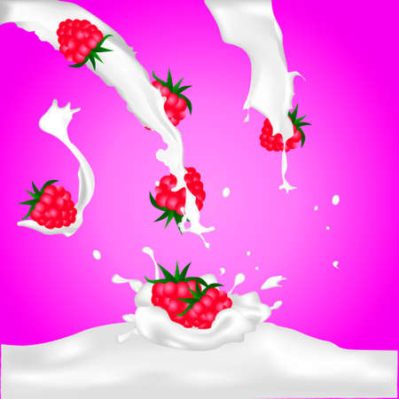 Red raspberry fruits falling into the milk splash vector illustrationのイラスト素材
