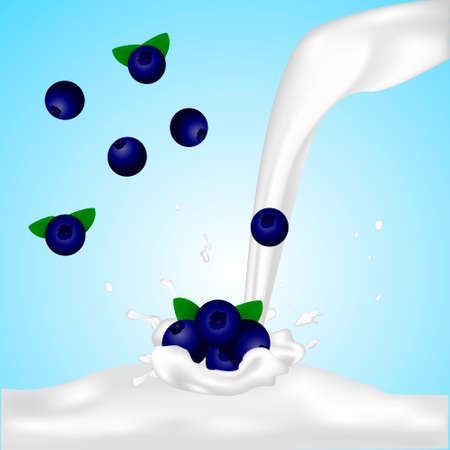 blueberry in milk splash vector illustration for bannerのイラスト素材
