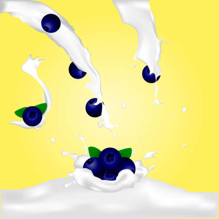 blueberry in milk splash vector illustration for bannerのイラスト素材