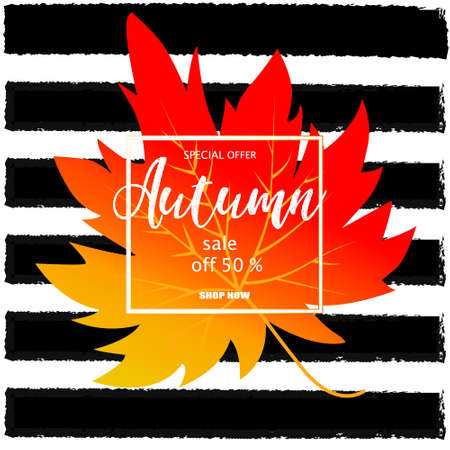 Autumn typographic. Fall leaf. Vector illustration EPS 10のイラスト素材