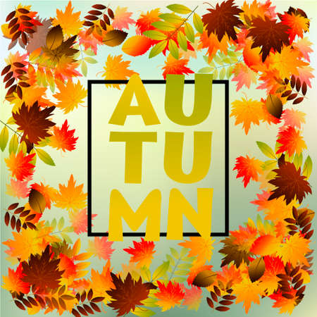 Autumn typographic. Fall leaf. Vector illustration EPS 10のイラスト素材