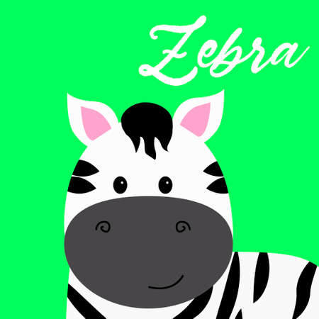 Cartoon cute zebra vector print colorfull illustrationのイラスト素材