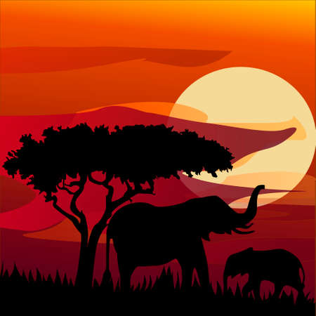 Silhouette view of elephant at sunset, wildlife.のイラスト素材