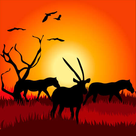 Africa safari - silhouettes of wild animals in twilightのイラスト素材