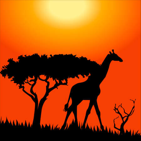 Africa safari - silhouettes of wild animals in twilightのイラスト素材