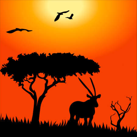Africa safari - silhouettes of wild animals in twilightのイラスト素材
