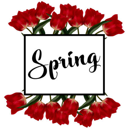 Spring text with tulip flower. Vector illustration EPS10のイラスト素材