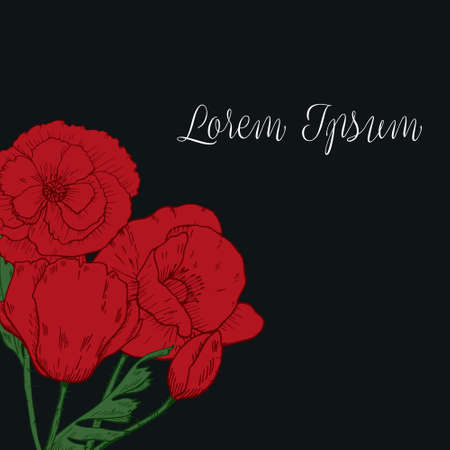 Poppy flowers illustration. Watercolor. Hand drawn. Set of three poppy flowers. Vector -stock.のイラスト素材