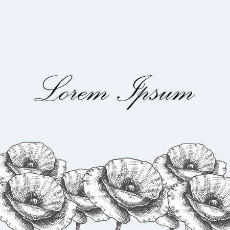 Drawing poppy flowers. Vector collection set of poppies flower by hand drawing on white backgrounds.のイラスト素材