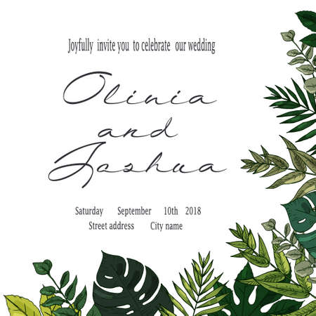 Banner with herbs, leaves and ferns. Frame with a leafy bouquet. Floral design elements. Vector illustration. Vintage style.のイラスト素材