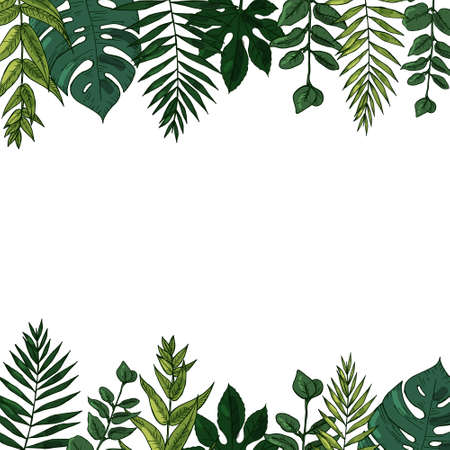 Vector vintage card. Wedding invitation. Botanical illustration. Tropical leavesのイラスト素材