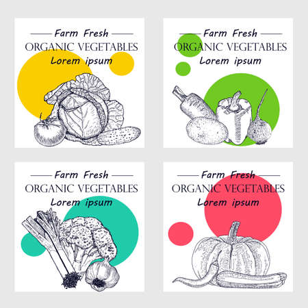 Hand drawn vegetables posters set Vector illustration.のイラスト素材