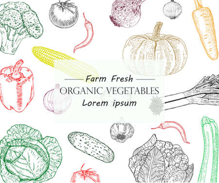 Vegetable hand drawn vintage vector illustration.のイラスト素材