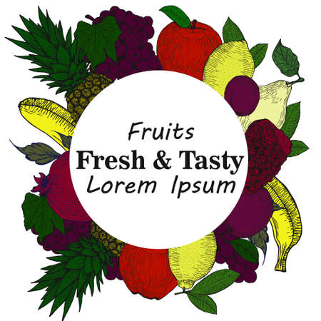 Hand drawn vector illustration with fruits and berries. Vintage.のイラスト素材