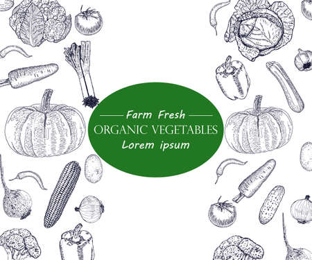 Vegetable hand drawn vintage vector illustration. Farm Market poster. Vegetarian set of organic products.のイラスト素材