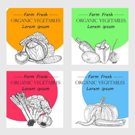 Hand drawn vegetables posters set. Vector illustration.のイラスト素材