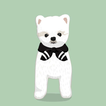 A cute white Havanese puppy posing with pinkのイラスト素材