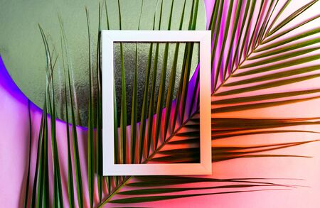 White frame with palm leaves on a trendy neon background. Summer concept. Top view, flat lay.の写真素材