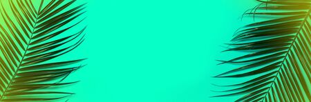 Border made of palm leaves on blue background. Flat lay, top view, copy space.の写真素材