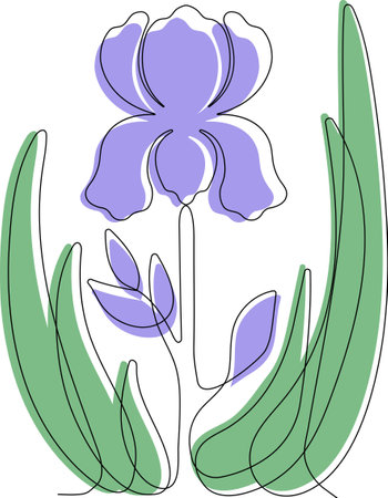 Iris drawn by one lineのイラスト素材
