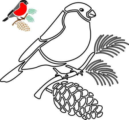Bullfinch with black outlineのイラスト素材