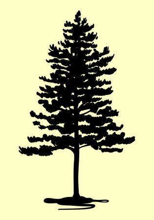 Silhouette of a pine tree. Vector on an isolated background, sketch.のイラスト素材