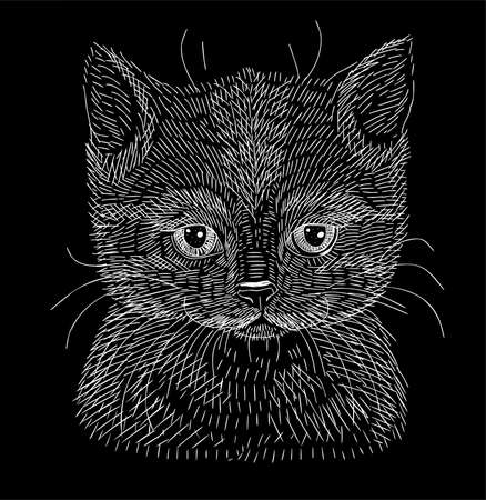 Cute kitten. White chalk sketch on a black background. Portrait on an isolated background. Vector.のイラスト素材
