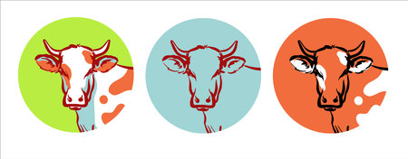 A set of emblems. The head of a cow or bull in a circle. Green, blue, orange color of icons.のイラスト素材