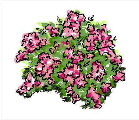Bushy climbing pink rose. Illustration of a vector on an isolated background.のイラスト素材