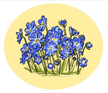 The logo. Spring primroses. Hepatica is a plant with blue flowers. Illustration in the style of a botanical sketch.のイラスト素材