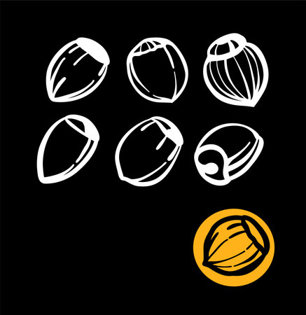 A set of illustrations in white on a black background. Hazelnuts, hazelnuts. Logo or logo for printing on the plotter.のイラスト素材