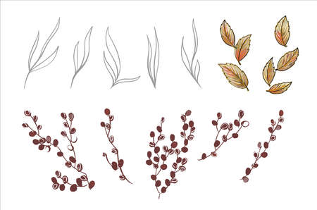 A set of twigs and leaves, spring and autumn. For the design of invitations, postcards, posters.のイラスト素材