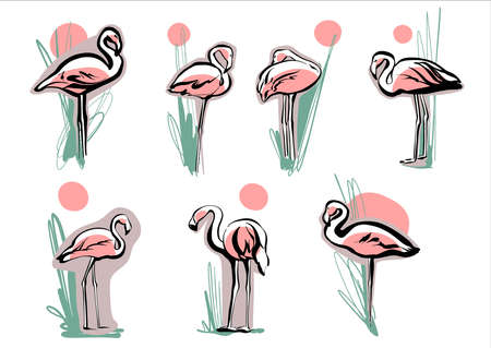 The set is a collection of flamingos at sunset with greenery plants and water. Illustration in sketch style, fashionable hand drawing. Vector.のイラスト素材