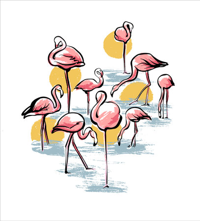 Pink flamingos in the water at sunset. Illustration for postcards and books. Sketch by hand.のイラスト素材