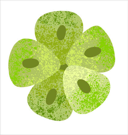 A green flower. A beautiful decorative flower. Illustration in a flat style.のイラスト素材
