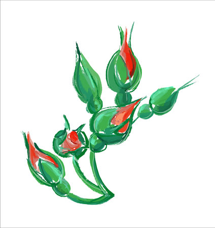 Closed rosebud. Illustration of a flower. The emblem, in the style of a sketch. Painting on canvas.のイラスト素材