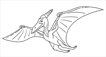 Pteranodon Dinosaur. Illustration in black and white style. The contour line.のイラスト素材