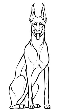 Drawing, a graceful Doberman dog sitting. Illustration of a black and white sketch.のイラスト素材