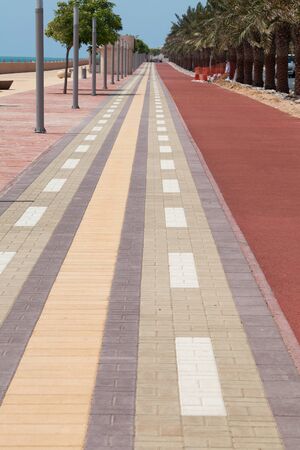 palm tree vector, palm near the road, palms near the seaの写真素材