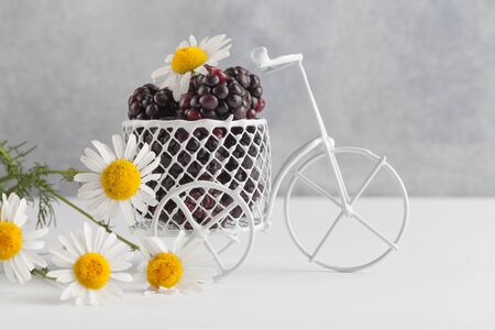 blackberries and chamomile flower on gray background, copy spaceの写真素材