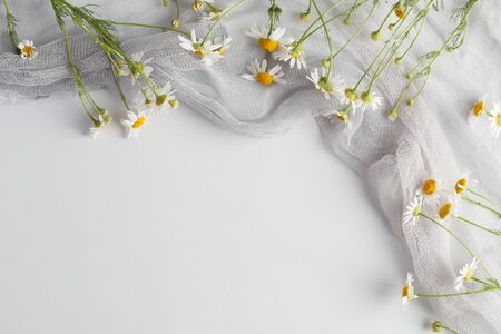 beautiful chamomile flowers on white background, top view, copy spaceの写真素材