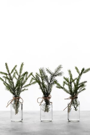 Tree branches in glass bottles with water on white background. New Year, holiday conceptの写真素材