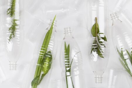 plant branches inside empty plastic bottles, plastic glasses on white background. Recycle waste...