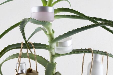 creams and paper bags with cosmetics hang on branches of aloe vera on white background. High benefit as an herb with medicinal properties. green shopping conceptの写真素材