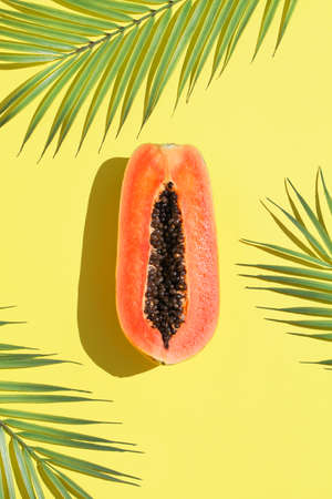 Trendy sunlight summer  made with papaya on yellow  with palm leaf.の写真素材