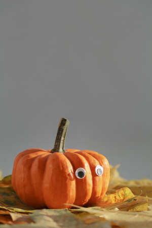 Halloween pumpkin on yellow leaves on gray background. Minimal holiday celebration funny concept....